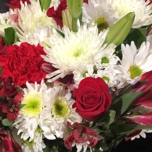 Meet your Posher, Gal